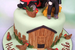 Handyman-Gardener-Birthday-Cake