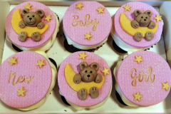 New-Baby-Girl-Cupcakes