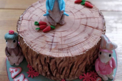 Peter-Rabbit-Birthday-Cake