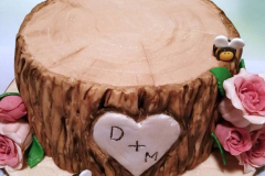 Tree-Stump-Themed-Occasion-Cake